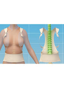 Fascia Posturale Active Posture OFFERTA 2x1
