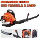 Soffiatore Foglie
